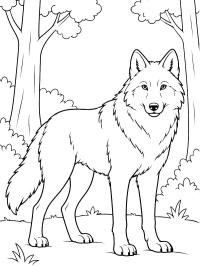 Wolf im Wald