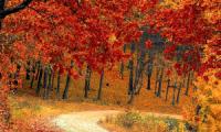 Herbst