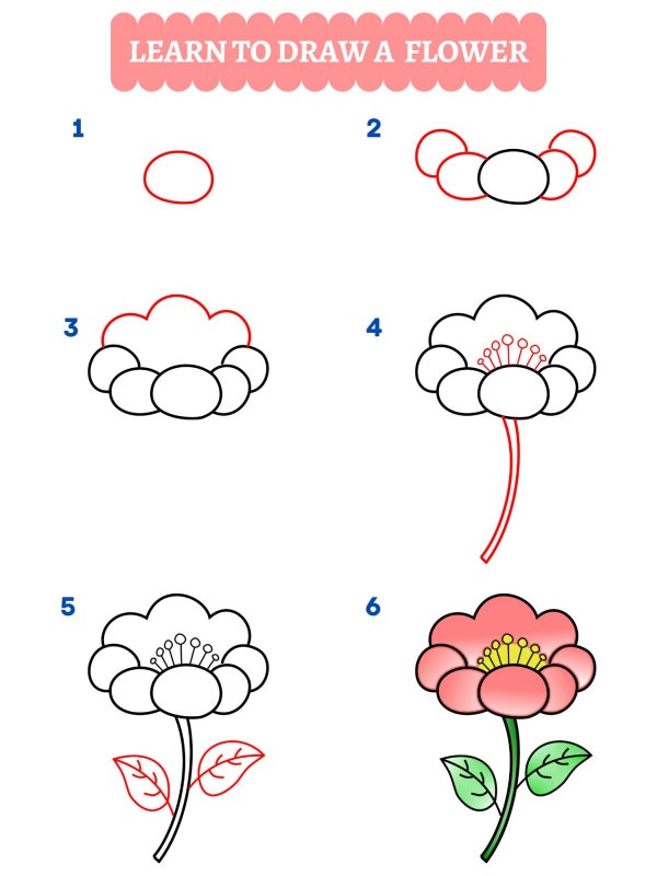 Wie Zeichnet Man Eine Blume Schritt F r Schritt