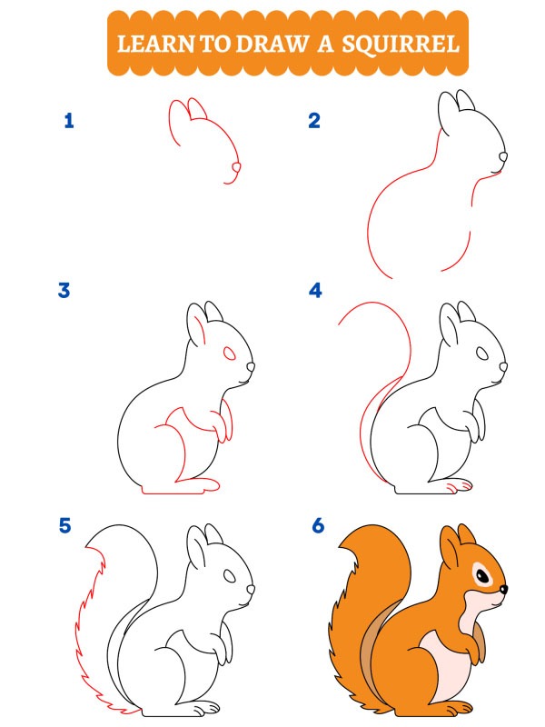 Wie zeichnet man ein Eichhörnchen?