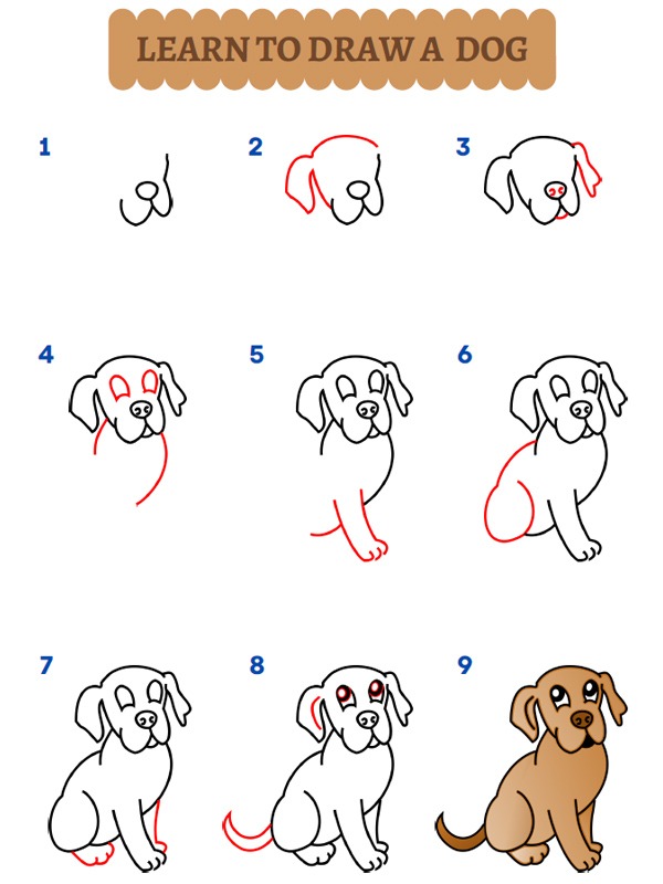 Wie zeichnet man einen hund