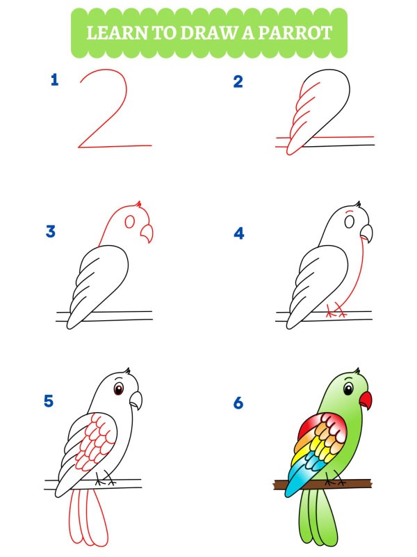 Wie zeichnet man einen Papagei