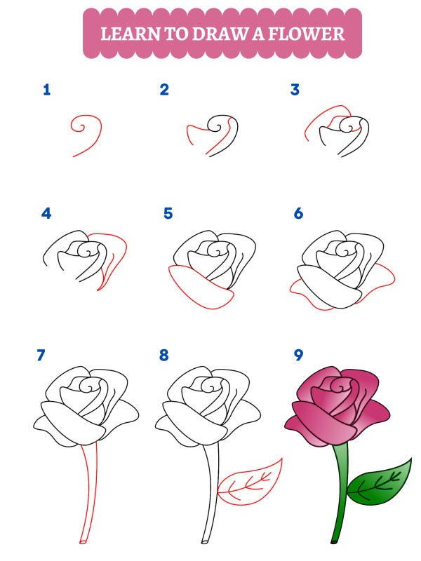 Wie zeichnet man eine Rose?
