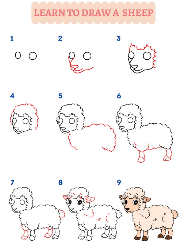 Wie zeichnet man ein Schaf