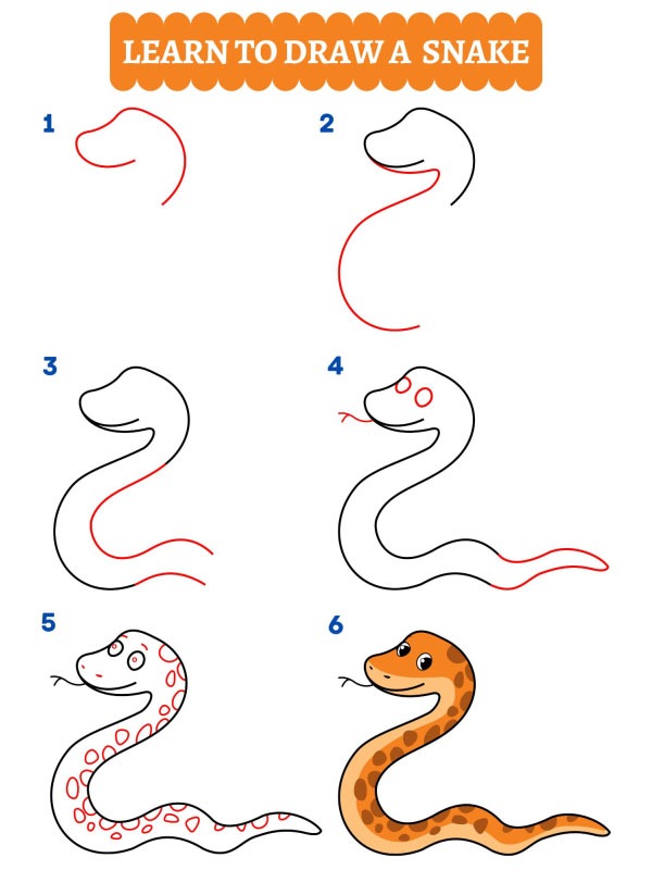 Wie zeichnet man eine Schlange