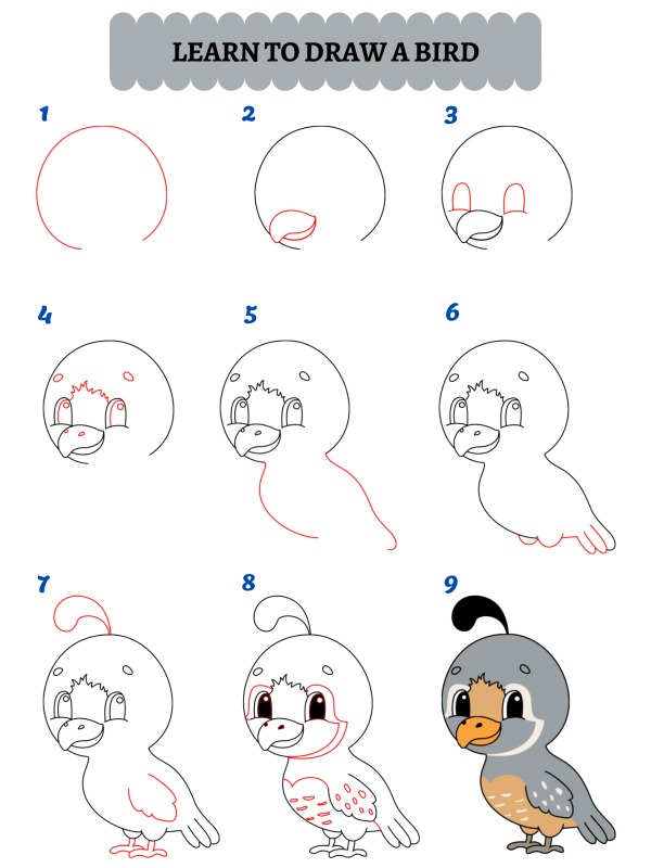 Wie zeichnet man einen Vogel