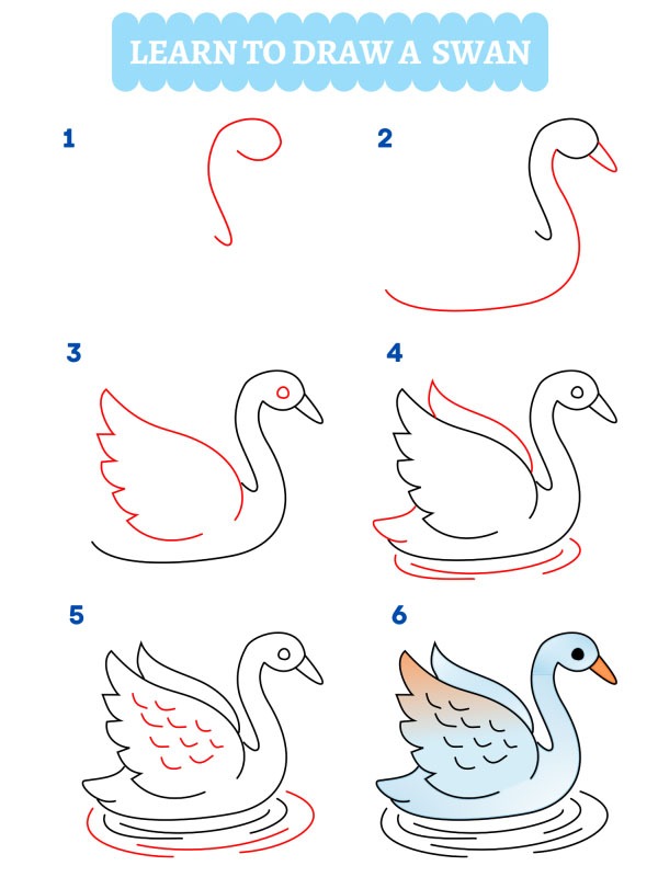 Wie zeichnet man einen Schwan