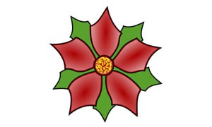 Wie zeichnet man einen Weihnachtsstern?. Schritt fr Schritt