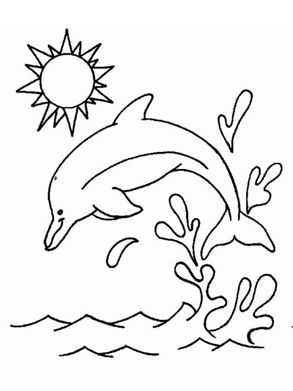 Delfin Ausmalbild
