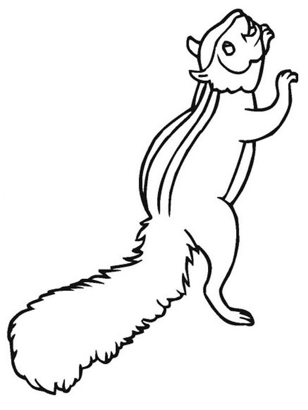 Eichhörnchen Ausmalbild Eichhörnchen Ausmalbild