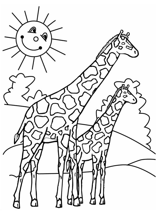 Giraffe Ausmalbild