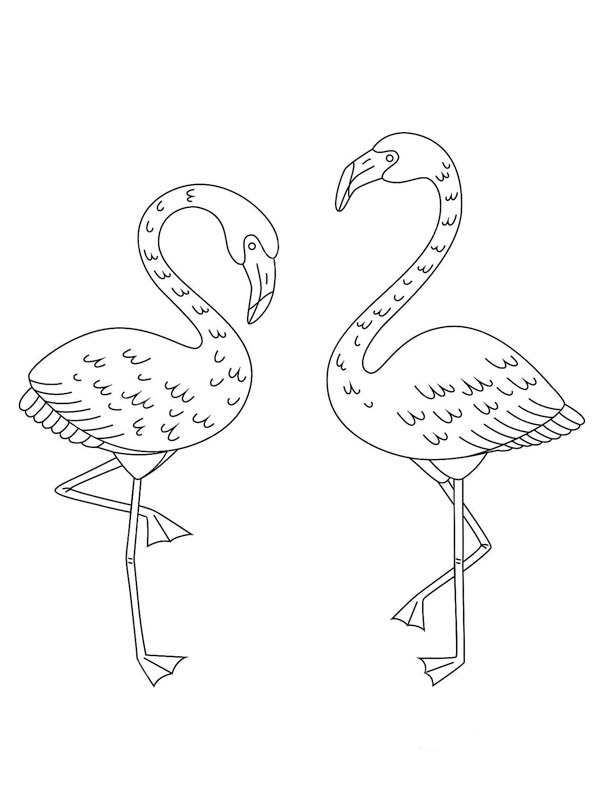 Zwei Flamingos Ausmalbild