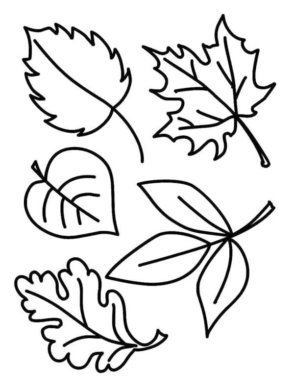 5 Herbstblätter Ausmalbild
