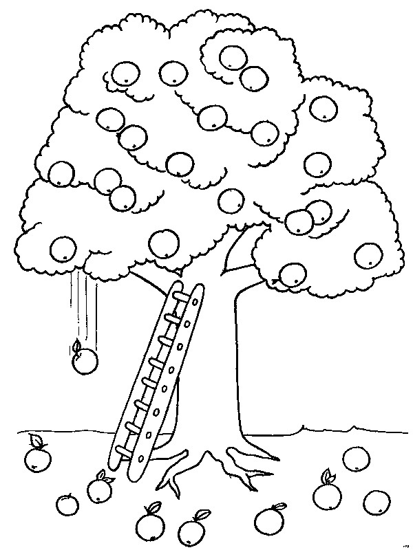 Apfelbaum Ausmalbild