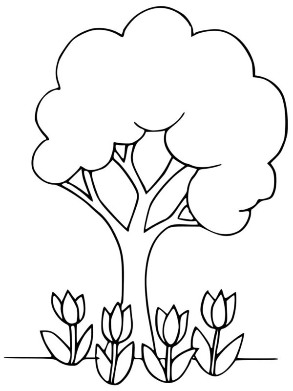 Baum und Tulpen Ausmalbild