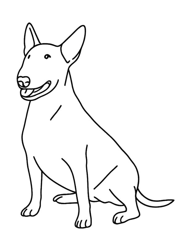 Bullterrier Ausmalbild Bullterrier Ausmalbild