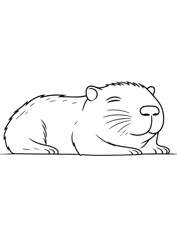 Capibara schläft Ausmalbild Capibara schläft Ausmalbild