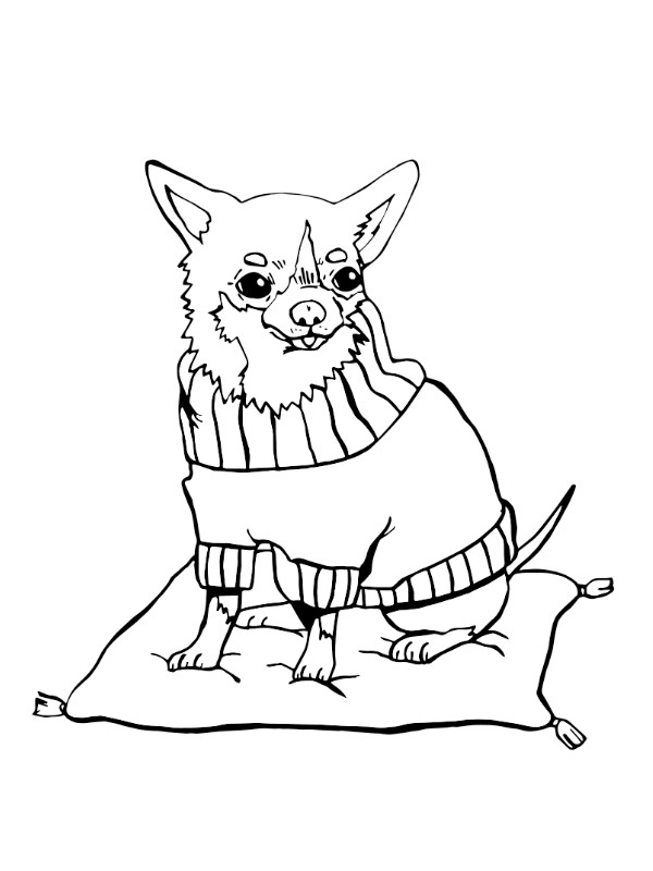 Chihuahua Hunderasse Ausmalbild