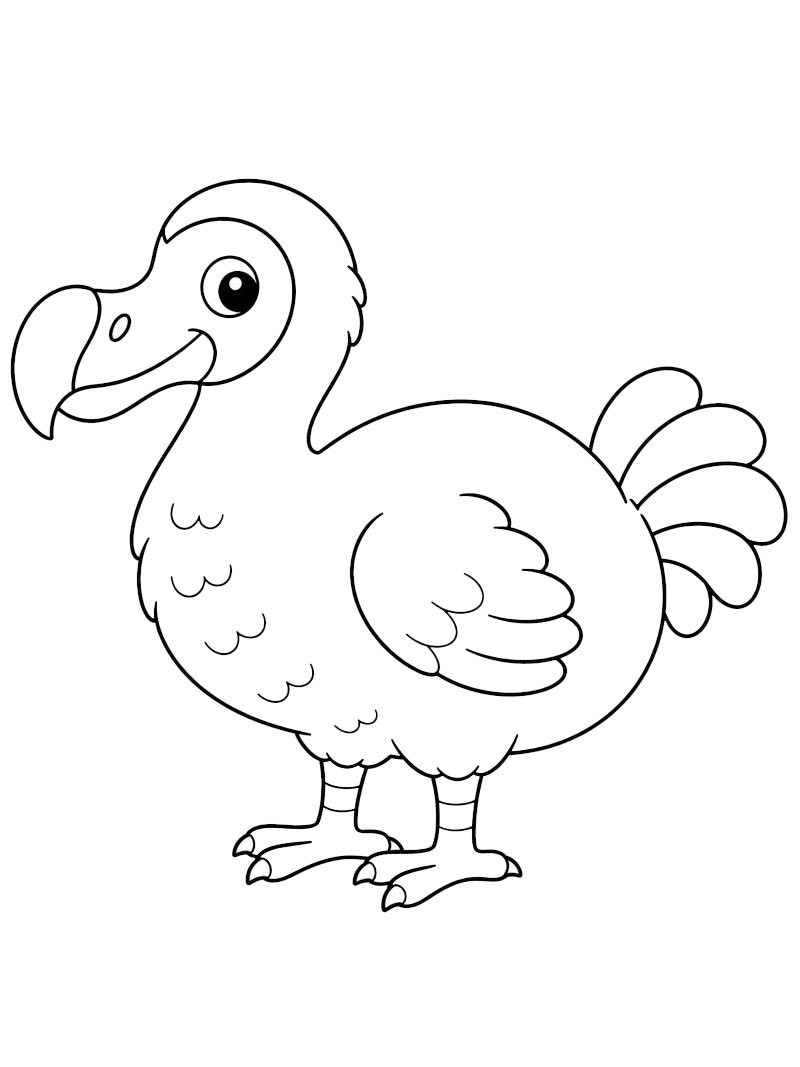 Dodo Ausmalbild Dodo Ausmalbild