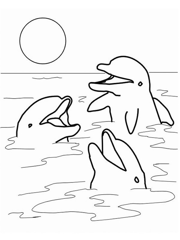Delfine im Meer Ausmalbild
