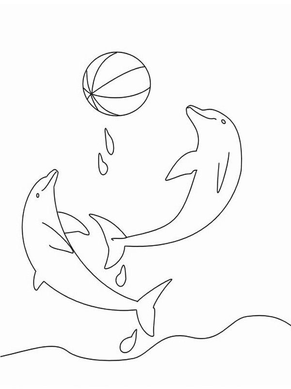 Delfin mit Ball Ausmalbild