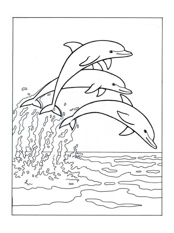Delphine springen ins Meer Ausmalbild