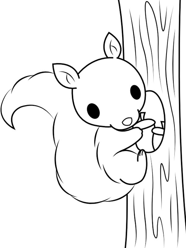 eichhörnchen klettert im baum Ausmalbild