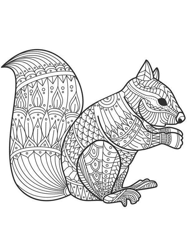 Eichhörnchen für Erwachsene Ausmalbild Eichhörnchen für Erwachsene Ausmalbild