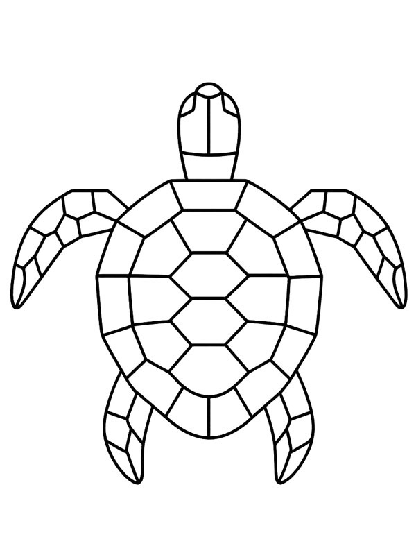 Geometrische Schildkröte Ausmalbild Geometrische Schildkröte Ausmalbild