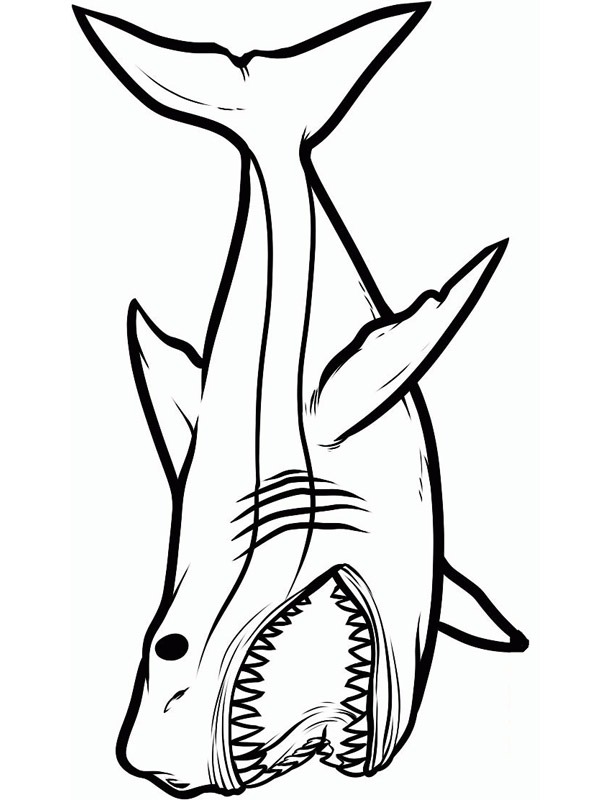 Gefährlicher Hai Ausmalbild