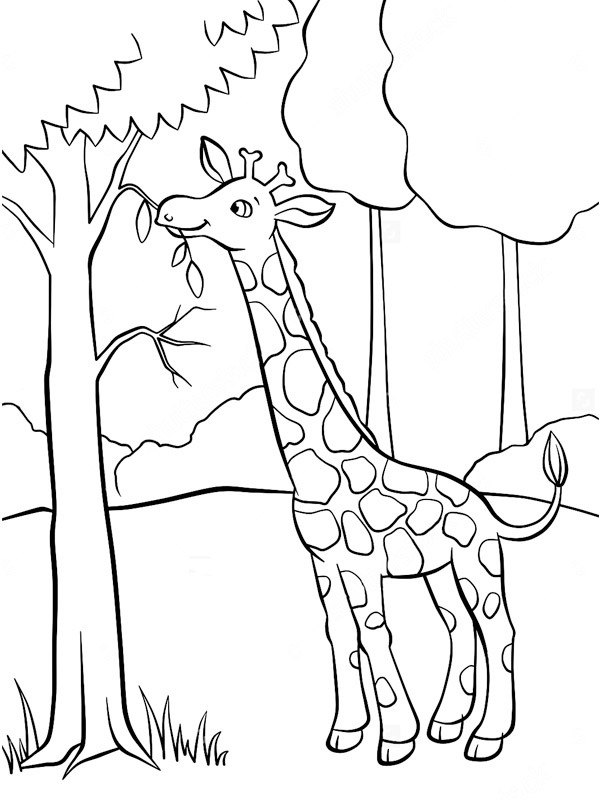 Giraffe isst Ausmalbild