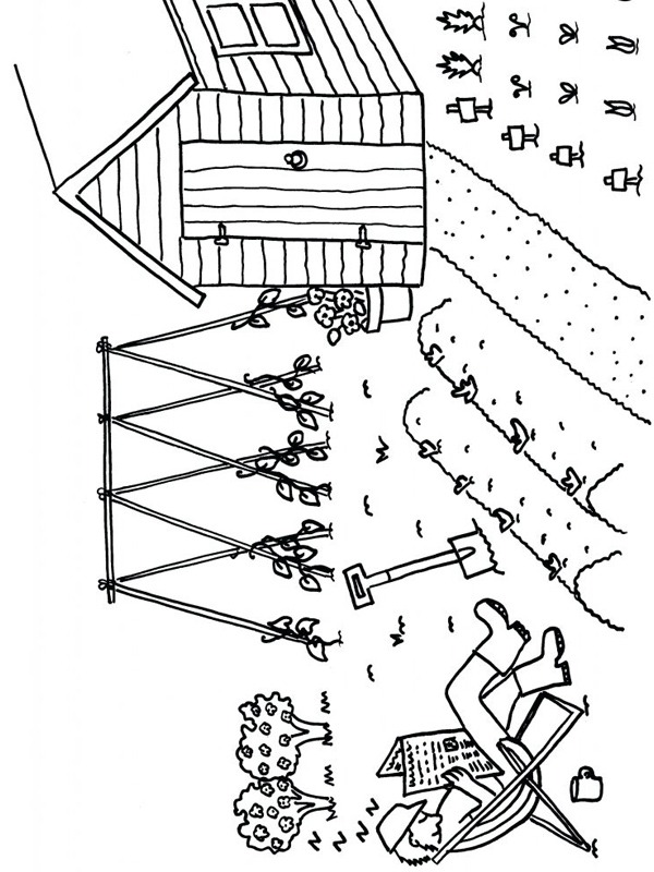 Gemüsegarten Ausmalbild Gemüsegarten Ausmalbild