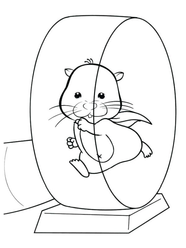 Hamster im Laufrad Ausmalbild