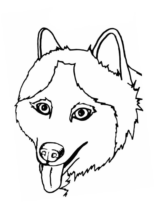 Husky Kopf Ausmalbild Husky Kopf Ausmalbild