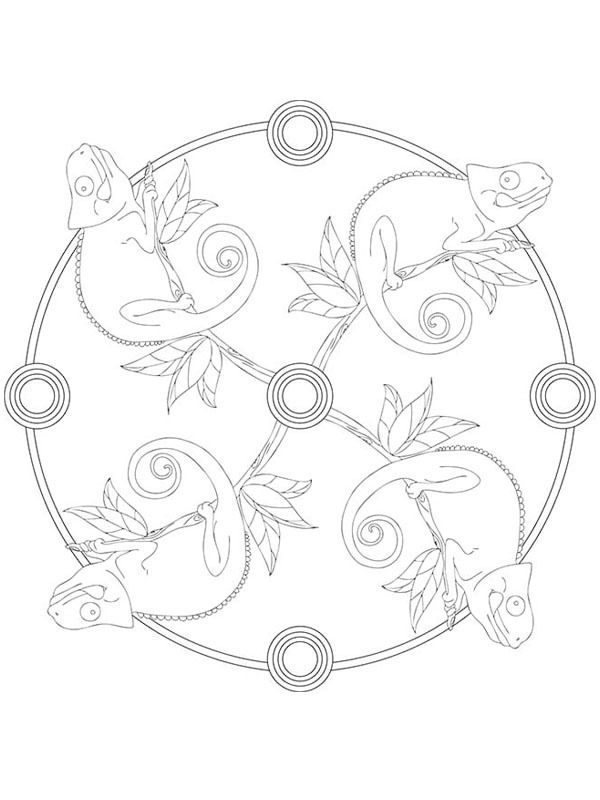 Cham&auml;leon-Mandala Ausmalbild