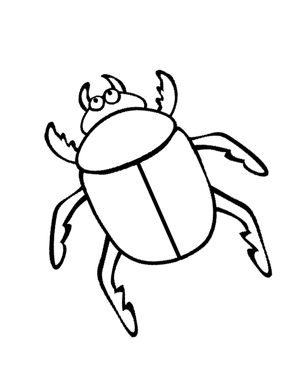 Käfer Ausmalbild
