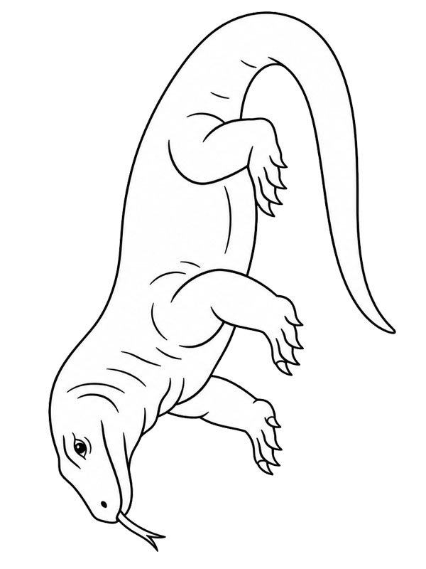 Komodowaran Ausmalbild