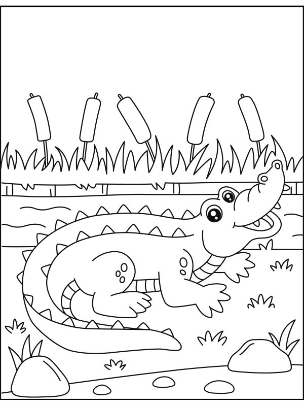 Krokodil mit offenem Maul Ausmalbild Krokodil mit offenem Maul Ausmalbild