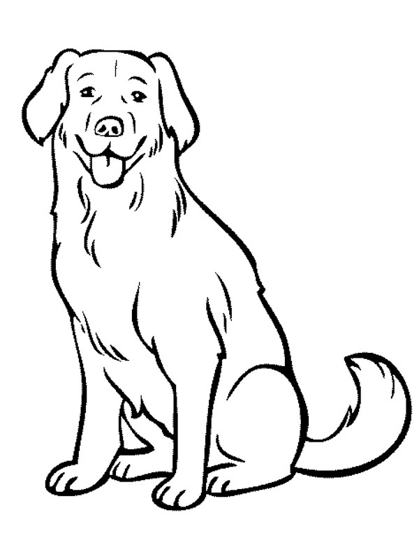 Labrador Hund Ausmalbild