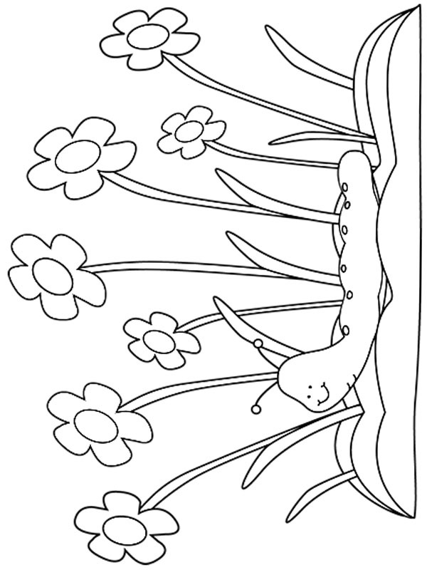 Frühlingsraupe Ausmalbild