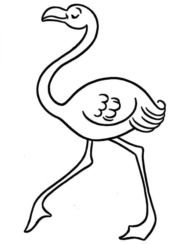 laufender Flamingo Ausmalbild