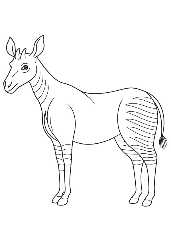 Okapi Ausmalbild Okapi Ausmalbild