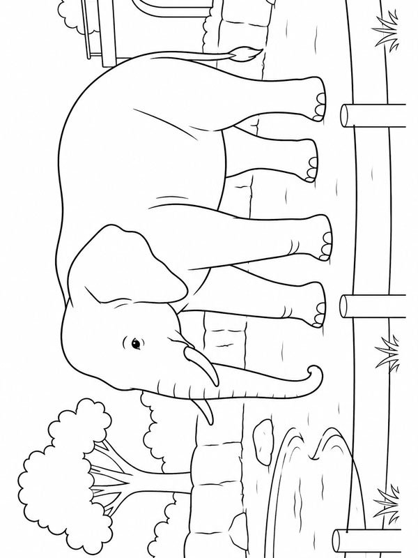 Elefant im Zoo Ausmalbild