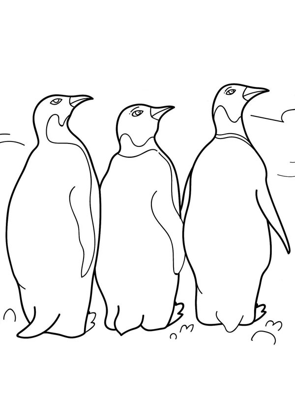 Pinguine Ausmalbild