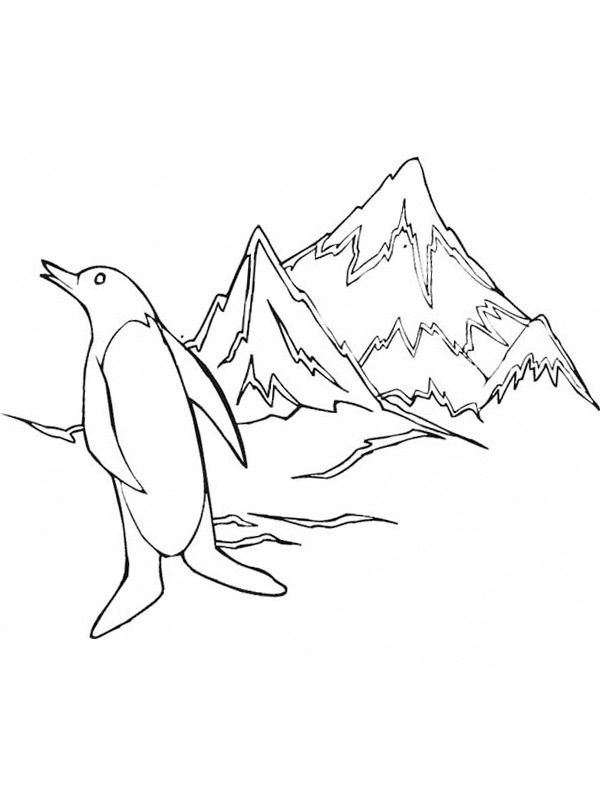 Pinguin am Südpol Ausmalbild