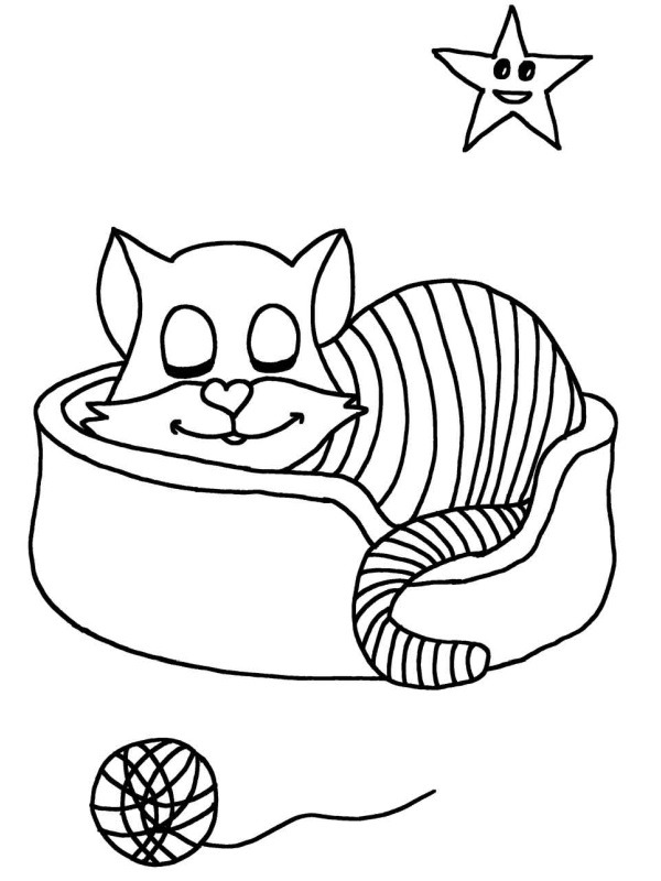 Katze im Korb Ausmalbild Katze im Korb Ausmalbild