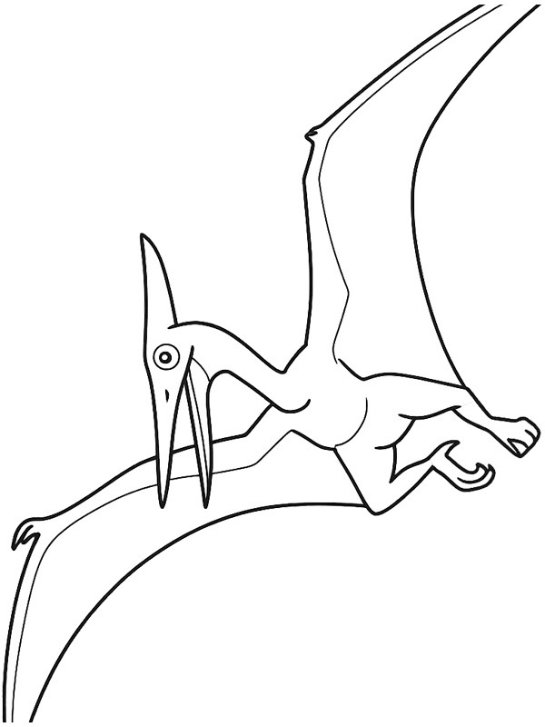 Pteranodon Ausmalbild Pteranodon Ausmalbild
