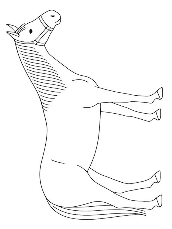 Quarter horse Ausmalbild Quarter horse Ausmalbild