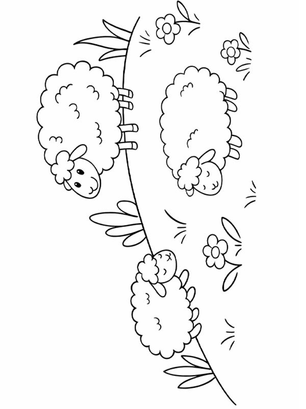 Niedliche Schafe auf der Weide Ausmalbild