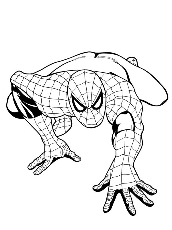 Spiderman krabbelt Ausmalbild